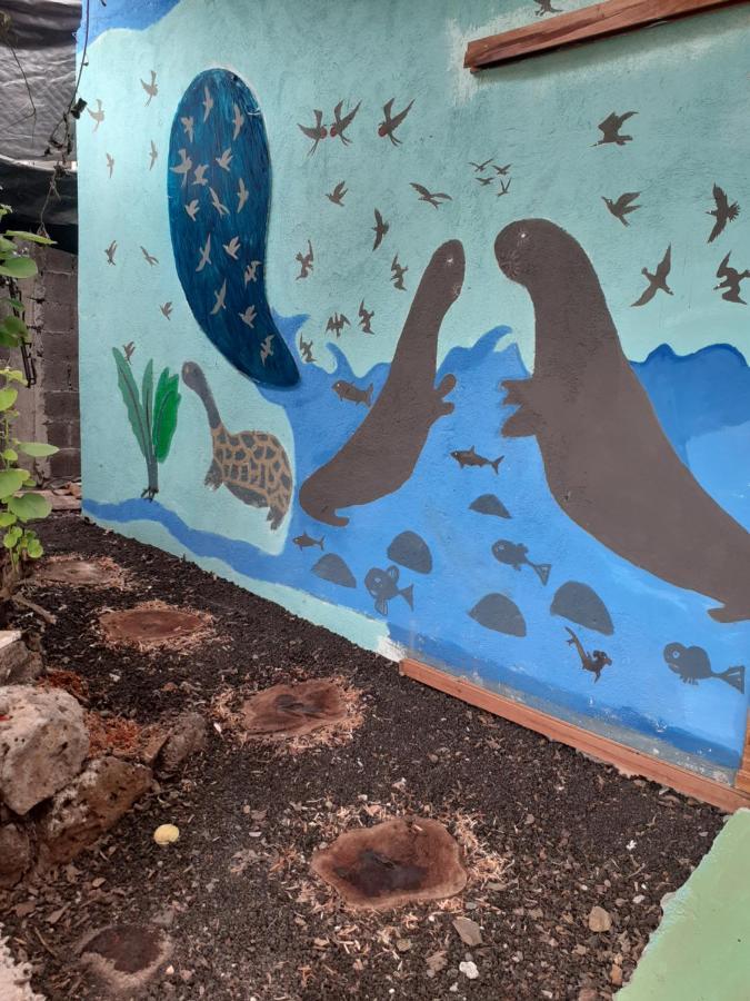 Apartmán Cozy Hosting Galapagos Puerto Ayora  Exteriér fotografie
